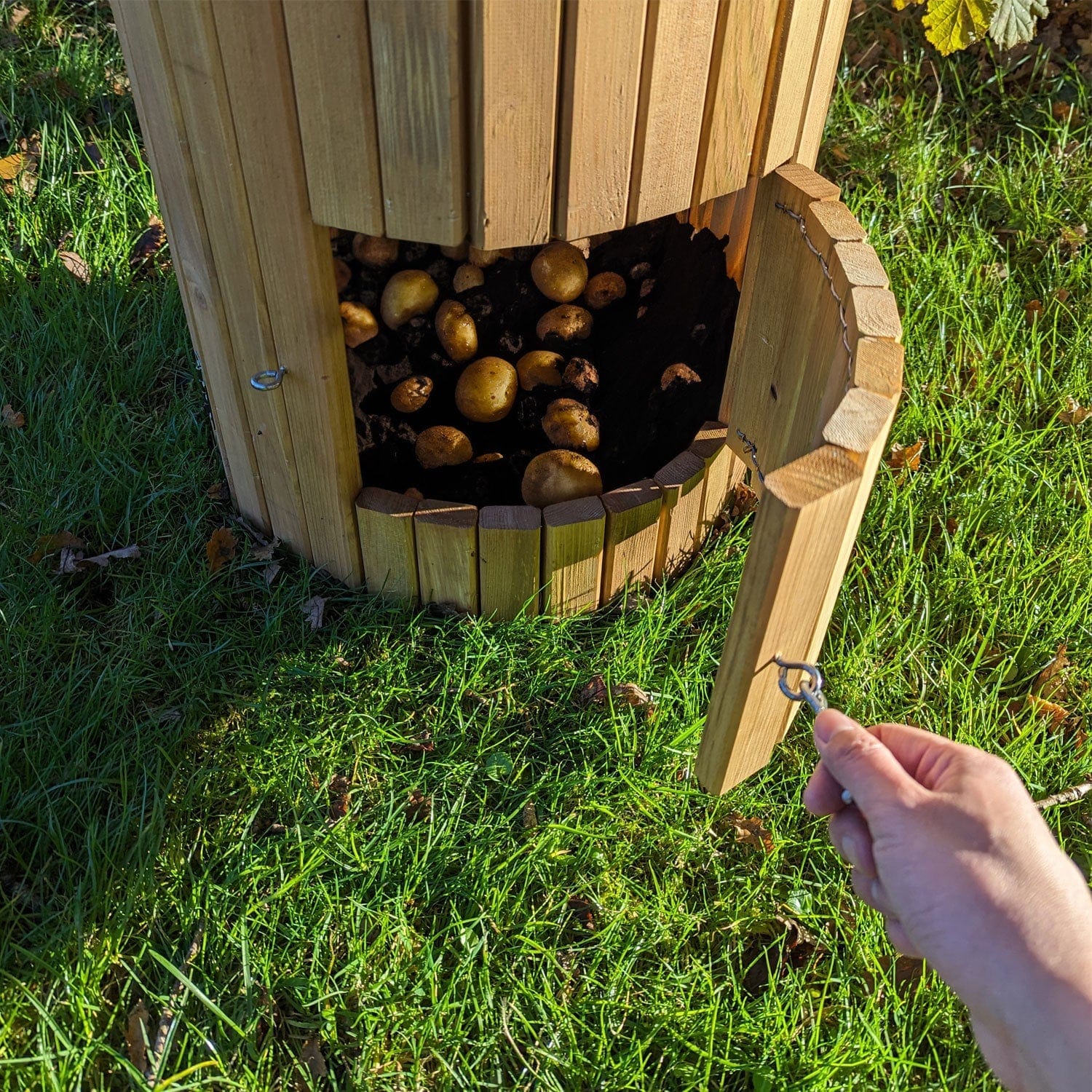 66 Litre Wooden Potato Planter Barrel – Swing Door Harvest Access